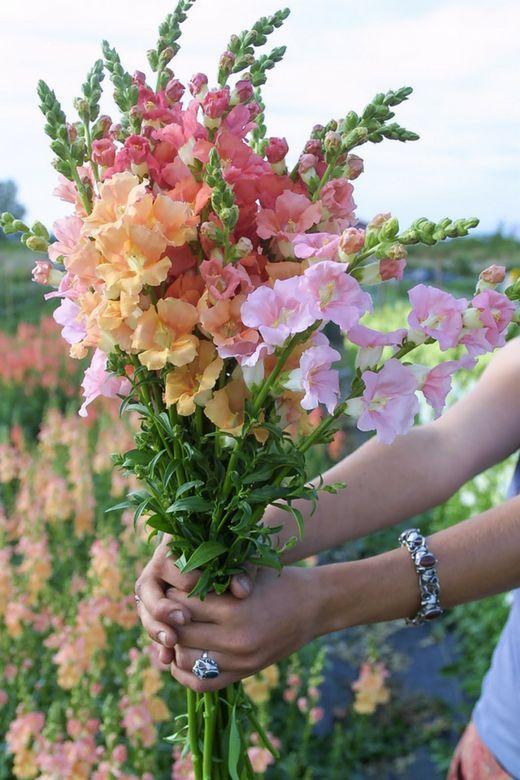 Cascade Grove Press workshop space where corporate flower arrangements are designed and prepared for business delivery